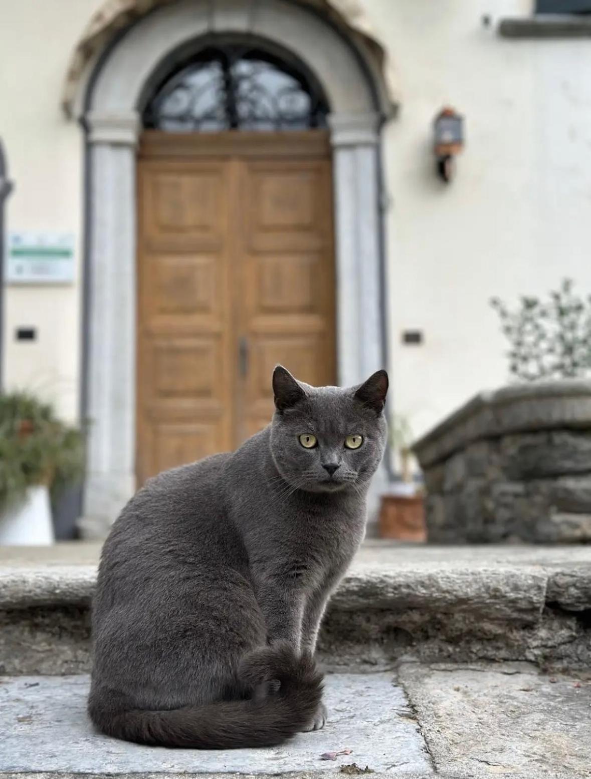 B&B La Dolce Casa Lago Di Como Кремия Экстерьер фото